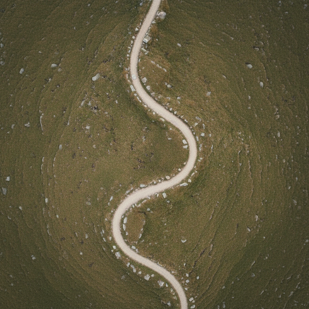 Edit this existing aerial photo of a natural winding footpath in a field so that all visible rocks are removed, leaving a smooth, soft grassy landscape with the same winding path. Keep the straight-down aerial composition, gentle natural colors, and calm daylight mood, in a professional style suitable for a life coaching website.
